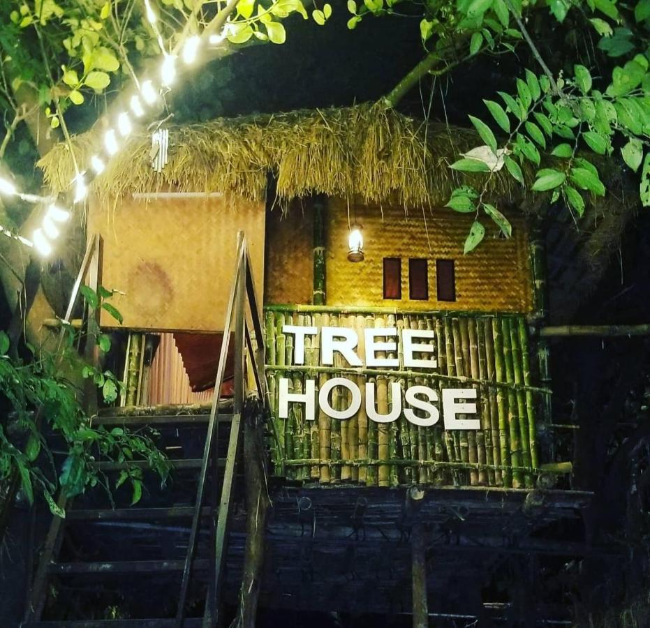 Holistic Stay Eco-Resort & Ayurvedic Retreat Paithalmala エクステリア 写真