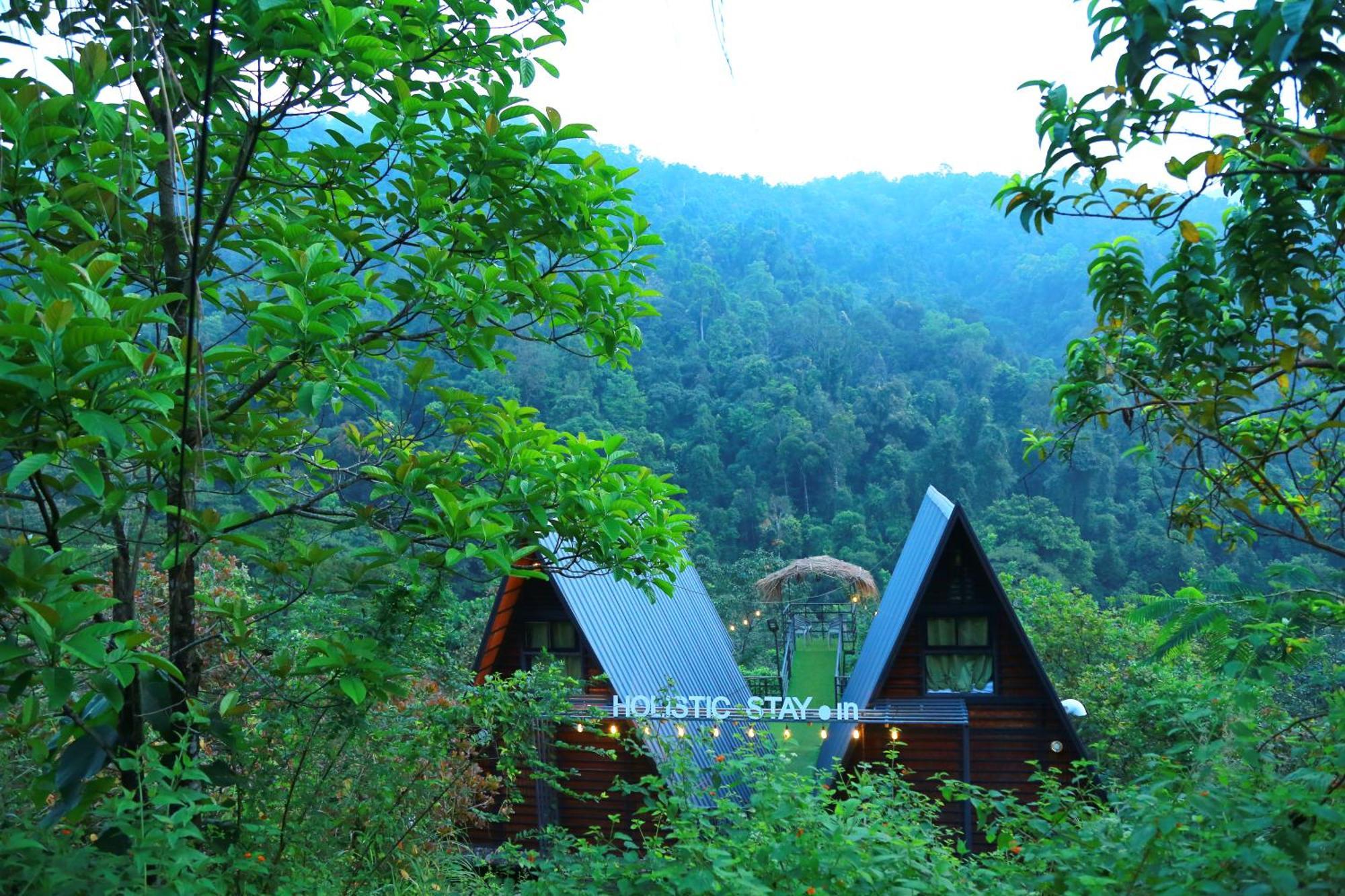 Holistic Stay Eco-Resort & Ayurvedic Retreat Paithalmala エクステリア 写真