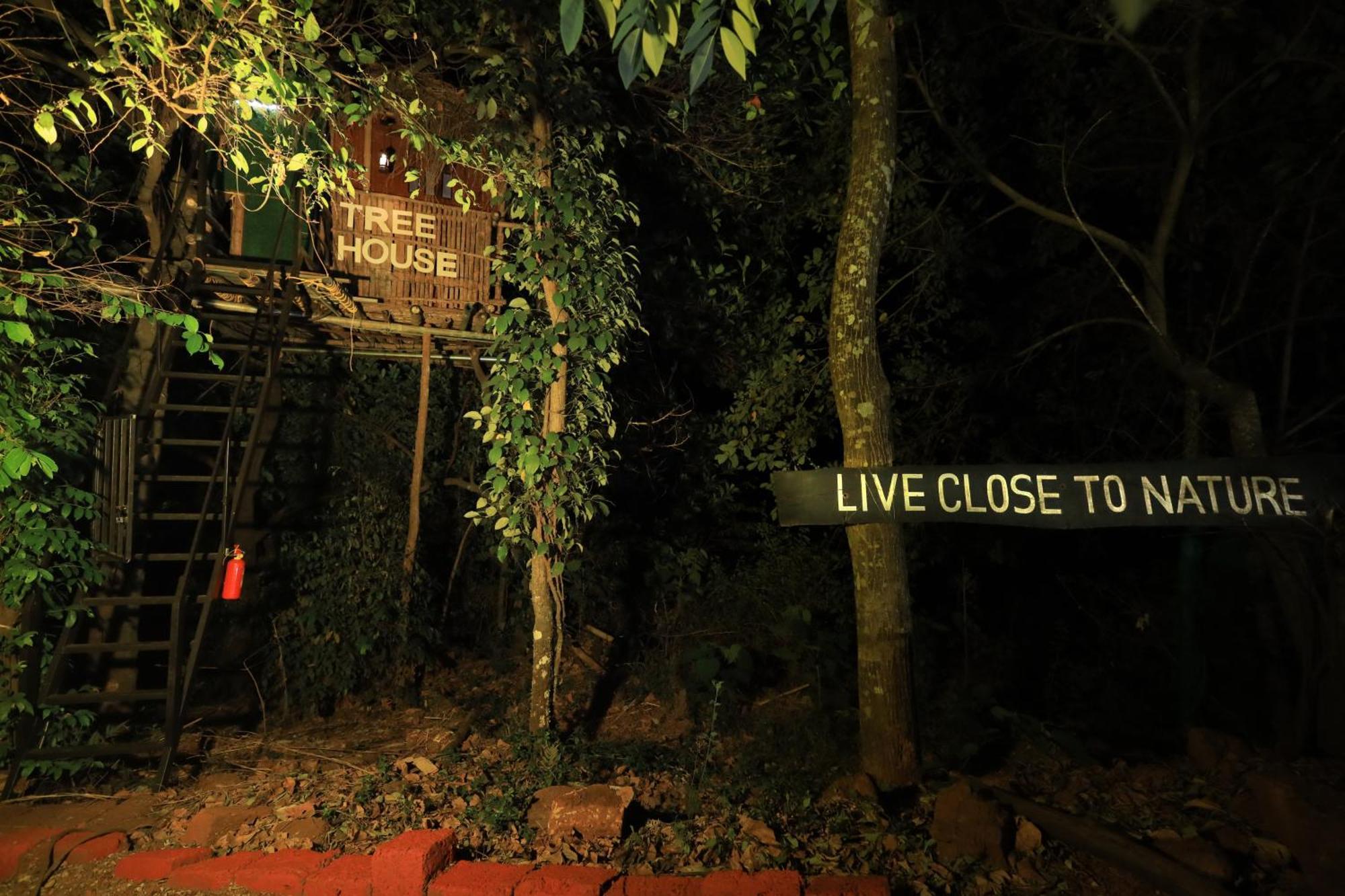 Holistic Stay Eco-Resort & Ayurvedic Retreat Paithalmala エクステリア 写真